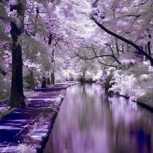 Meet your Posher, Dawn